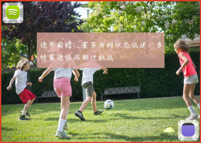 德甲前瞻:霍芬海姆状态低迷,多特蒙德伤病潮迎挑战